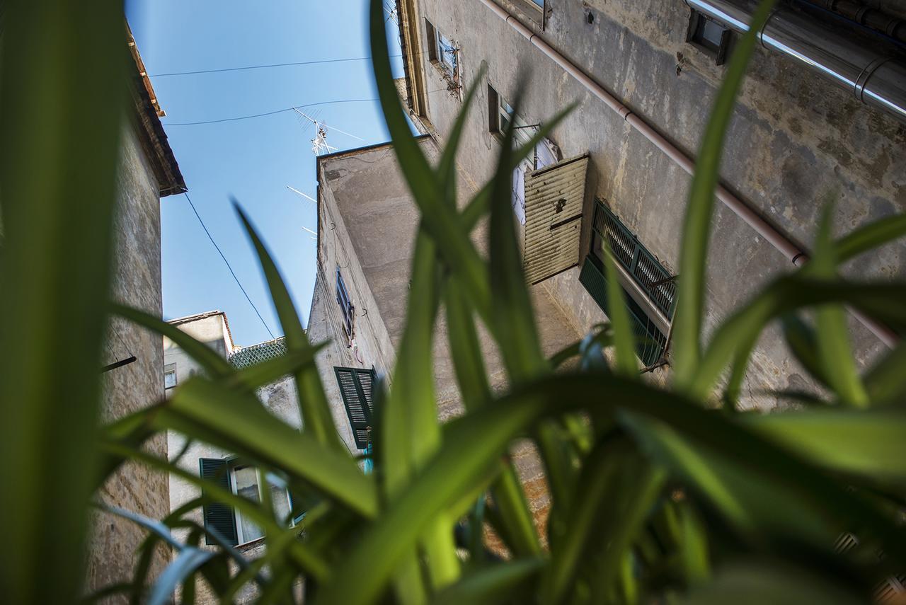 Bed and Breakfast Obelus Roma Exterior foto
